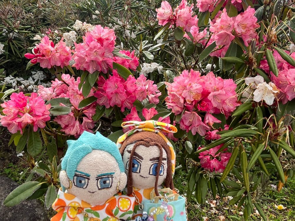 🌸