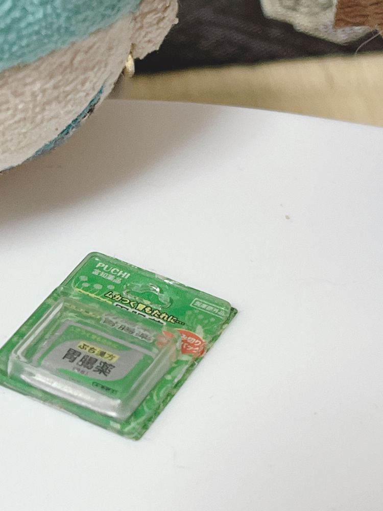 夜中にラーメンをぞるぞるしたぬいたち…
朝は案の定…💊