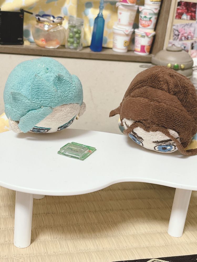 夜中にラーメンをぞるぞるしたぬいたち…
朝は案の定…💊