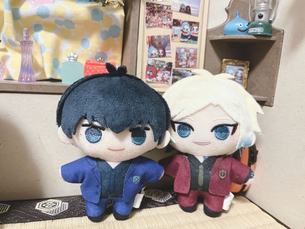 半年待ったぬい