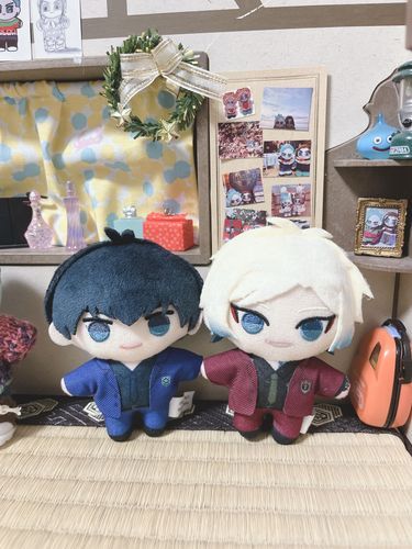 半年待ったぬい