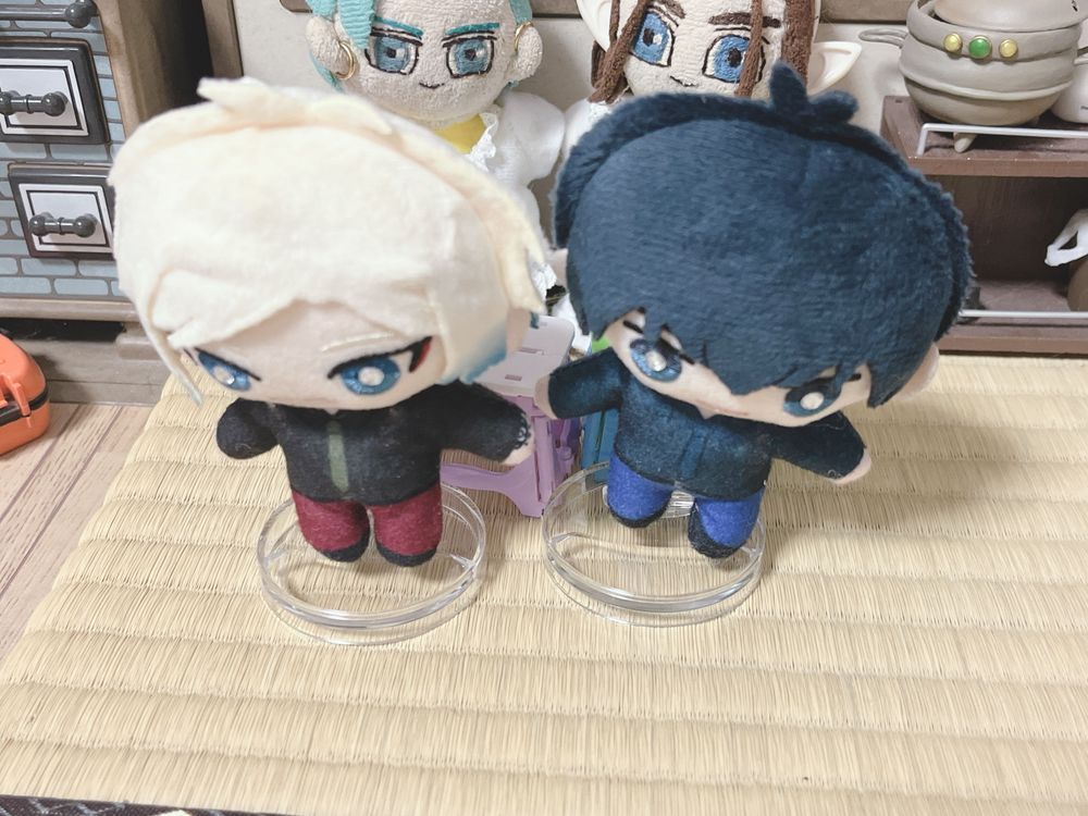 骨を入れた🦴