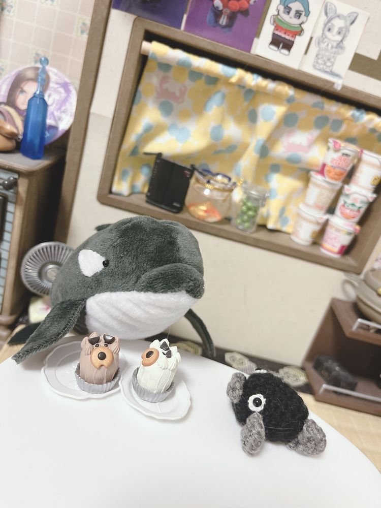 お留守番とテレビ電話🐟
