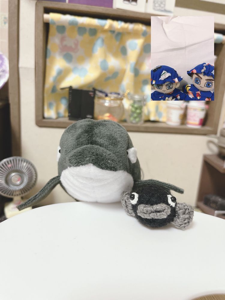お留守番とテレビ電話🐟