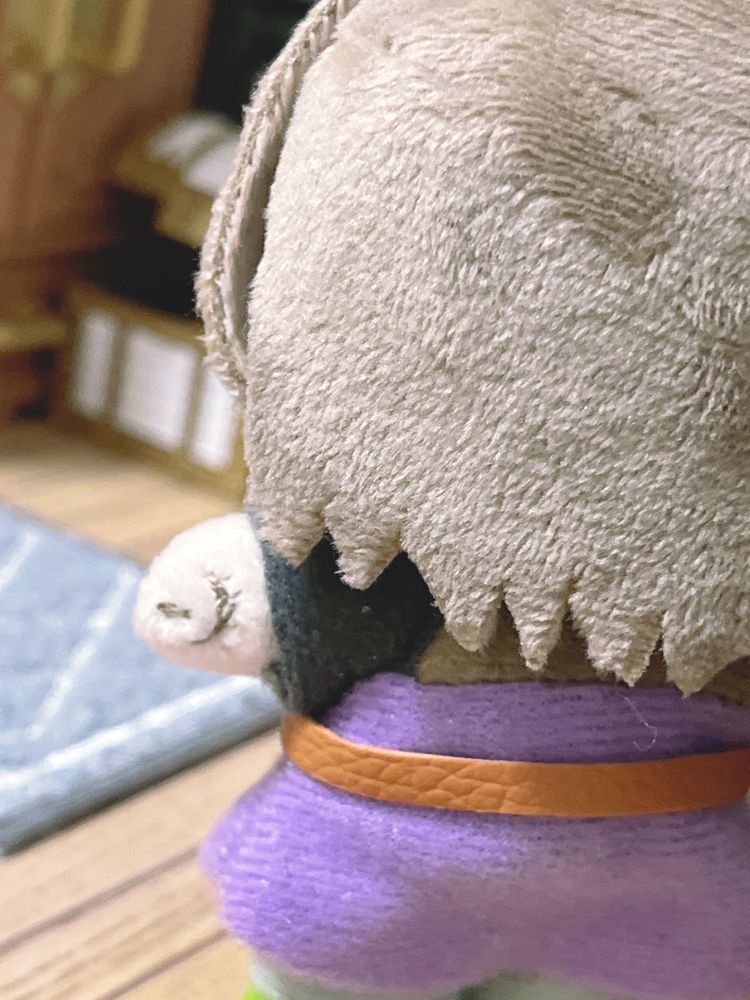 今日初めて勇者の証がついていることを知った
ぬいにもついているが…？(誇らしげ…