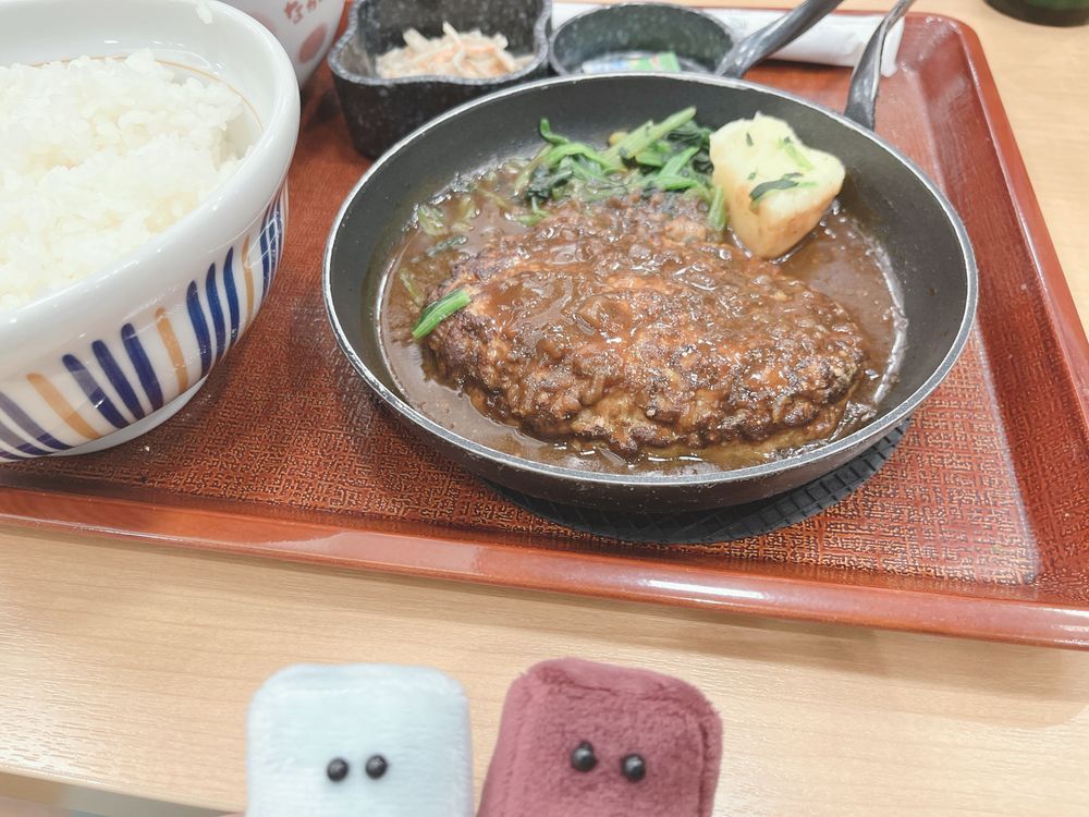 人間の飯