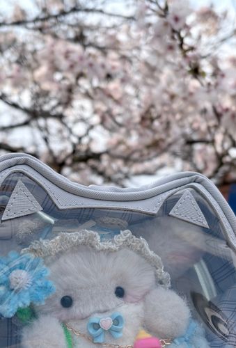 桜さんまた会えた🌸*･