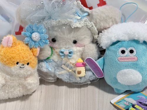 お出かけしたら、おともだちが増えて帰ってきた🏠❣️