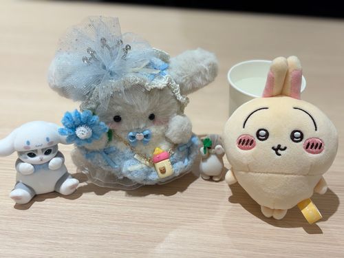 主が新しいお友だちお迎えしてくれたんだ❣️
みんな可愛い💓‪
