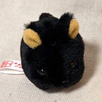 あまみのくろうさぎ　くろすけ