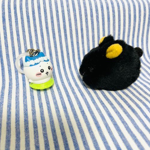 かいぬし、またハチワレゲットでしゅ。ハチワレに縁があるのでしゅかね？😺