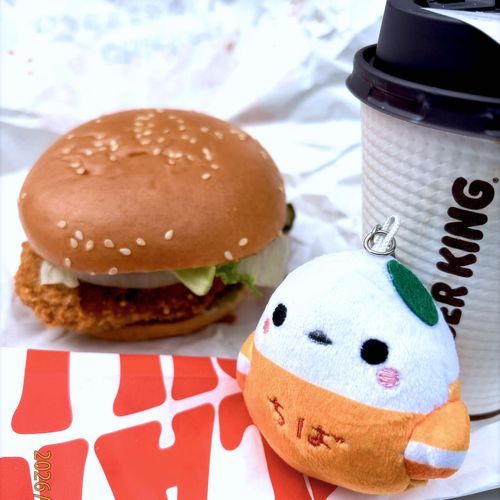 今日のランチはバーガーキング
ぬしは、ピクルスが大好物で、ピクルスだけでもいいとか変なこと言ってるけど、これはチキンピックルボール🍔