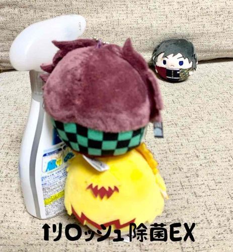 これは やせいの ふわぎゆさんを おむかえしたときの しゅぎょれす！！(じょきん