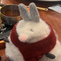 はなぽっぴ