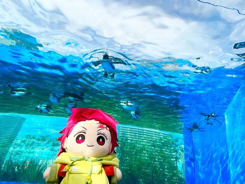 水族館…！🐧