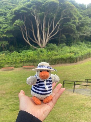おはよー！☀️