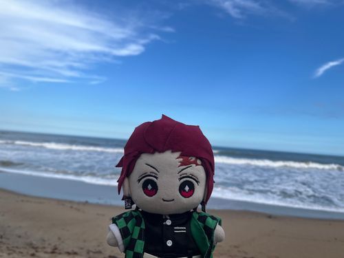🌊