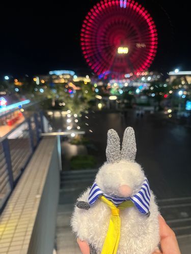 🎡