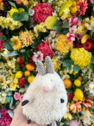 🌸🌼🌺🏵️