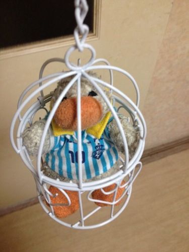 鳥籠の中に囚われた屈辱を…