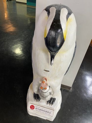 ペンギンの親子🐧