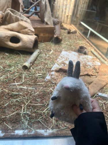 動物園