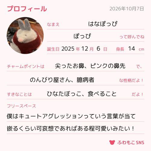 プロフィール書いたよ！
