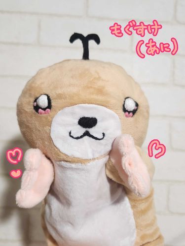 皆さんいいねしてくれてありがとうもる☺️🍑
改めてもぐすけって言いますもる🌸
ぜひこれから仲良くしてもるね☘️(ぼくうれしくてよろこびのポーズもる🤗)