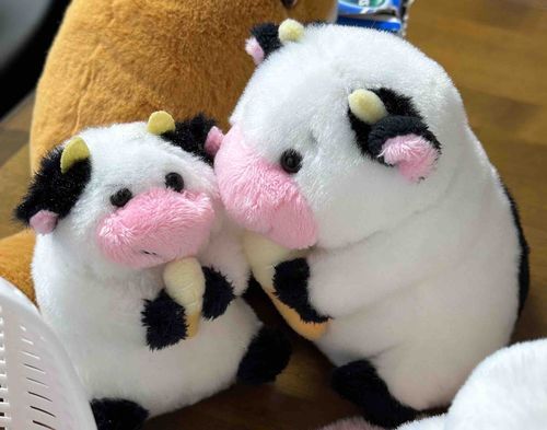 寒いからくっつこうね🐮🍦