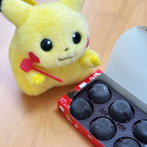 これ、全部ピカのもの！