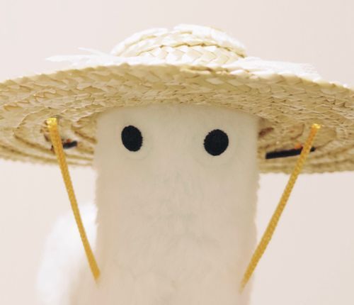 フデムシ、帽子似合ってるよ