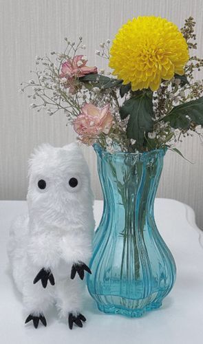 フデムシ、お花だよ