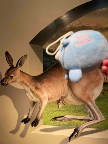 カンガルーに乗って一緒に逃げているくまたろうだぴょん！