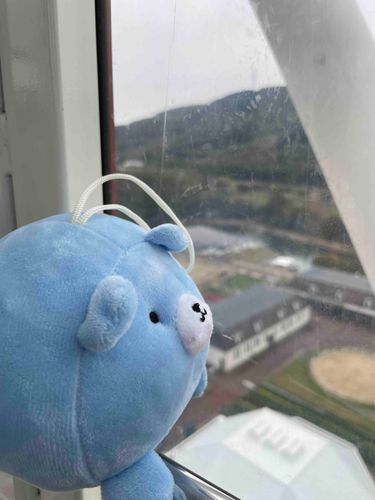 観覧車乗ったぴょん！