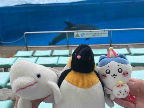 3匹で水族館に行ったぴょん！