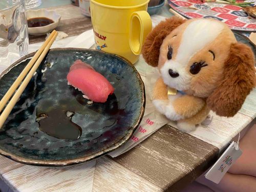 こどもの日に、知り合いの人が釣ってくれたマグロを食べたぴょん！