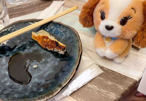 僕たちが作った手作り餃子を食べたぴょん！
店よりも美味しく感じたぴょん！