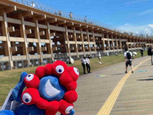 万博に行ったぴょん！暑くて疲れたぴょん😓