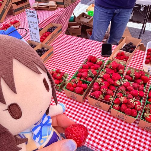 いちごを試食