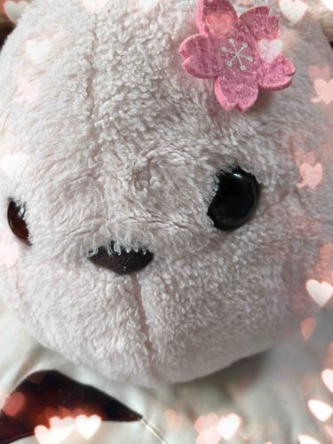 おうちにきて
もう少しで2歳
毎日、さわってもらってるよ！
わたしの温もりが堪らない
らしいわ♡♡♡
寂しがりのご主人のため、今日も明日も一緒に寝てあげるの。