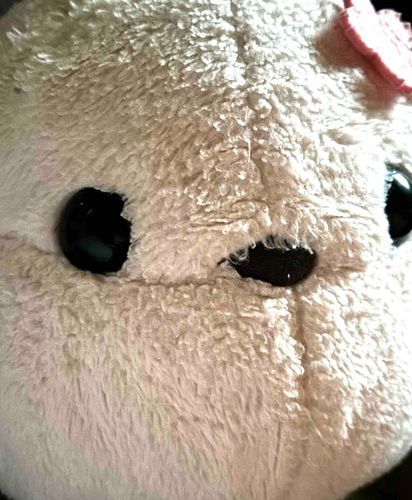 回復してないみたいだわ
少し心配
エナガは見守るしかできないの。
でも癒しにはなってるみたい
いつでも、そばにいるわ