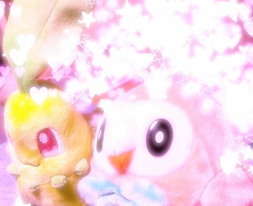 今日は、ご主人が
旅行から戻ってきたよ⭐️
ボクたちは2人で
枕元にへお迎え🩵
