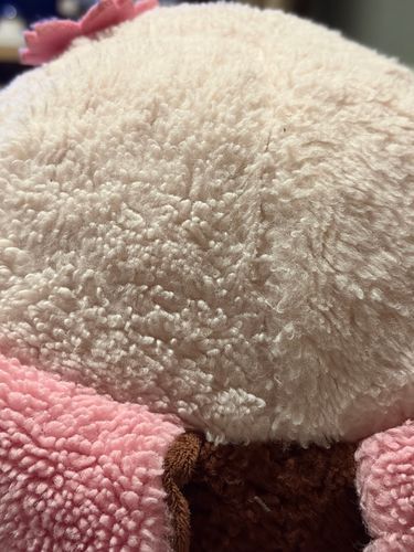 ご主人の膝にいるわ
最近よく抱かれてるの。
もともとだったわね💕︎
息子も抱かれてるから
交代で構ってもらってるわ( ꜆ '-' )꜆