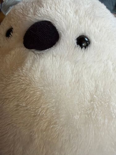 最近新しいこと始めたんだって
おしごと?っていうの。
僕はずっと見守ってるよ