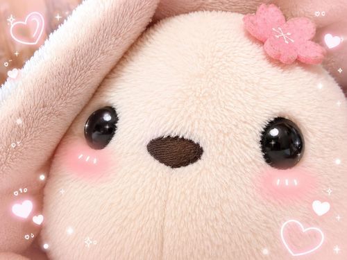 今月で2歳になったわ！
時が経つのは早いわね💕︎
これからも一緒にいるのよ🎶

fromえにゃが