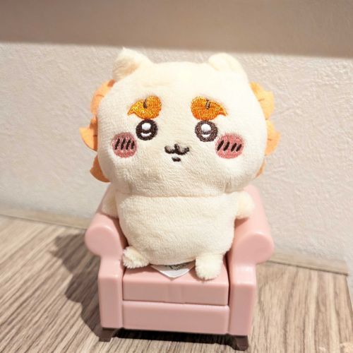 「椅子をもらいました〜！うれシーサー☺️」
