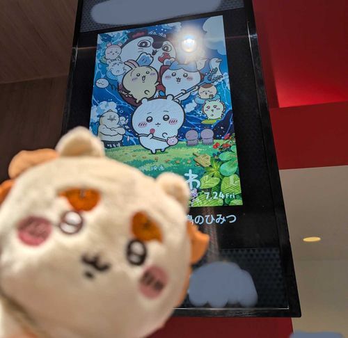 「2回目で〜す」