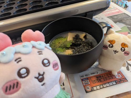 今日はタコパしてきました😉
友達の彼氏さんが貝汁を再現してて美味しかった！！そして島二郎と呼ぶことになりました