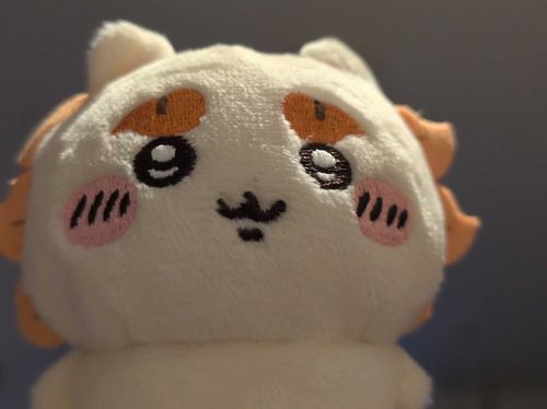 「今日はゆんたくの日でした〜」