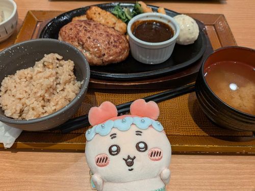 今日のランチはチーズINハンバーグでした😋